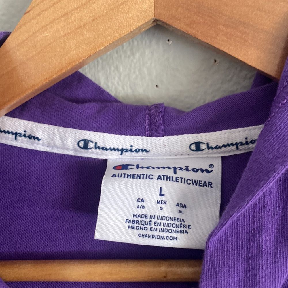 Champion Hooded Sweatshirt - Picture 7 of 7